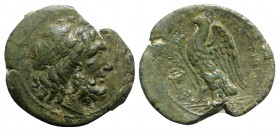 Bruttium, The Brettii, c. 214-211 BC. Æ Unit (24.5mm, 8.07g, 6h). Laureate head of Zeus r. R/ Eagle standing l., with wings spread; tripod and branch ...
