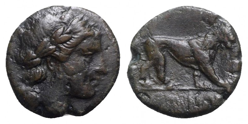 Bruttium, Rhegion, c. 260-215 BC. Æ (15mm, 2.57g, 9h). Head of Apollo r. R/ Lion...