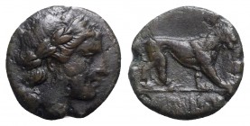 Bruttium, Rhegion, c. 260-215 BC. Æ (15mm, 2.57g, 9h). Head of Apollo r. R/ Lion walking r. HNItaly 2545; SNG ANS 727-8. Good Fine - near VF