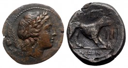 Bruttium, Rhegion, c. 215-150 BC. Æ Tetras (23mm, 5.72g, 5h). Laureate head of Apollo r.; palm frond behind. R/ Wolf standing r.; III to r. HNItaly 25...