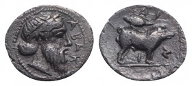 Sicily, Abakainon, c. 450-400 BC. AR Litra (12mm, 0.70g, 6h). Bearded male head r. R/ Sow standing r.; barley grain above. Bertino pl. XII, 8-9; HGC 2...