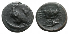 Sicily, Akragas, c. 415-406 BC. Æ Onkia (16mm, 3.63g, 5h). Eagle standing l., head r., on fish; cicada to r. R/ Crab; conch shell below. Westermark, C...
