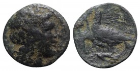 Sicily, Akragas. Phintias (287-279 BC). Æ (18.5mm, 3.74g, 1h). Laureate and beardless head of Zeus Hellanios r. R/ Two eagles standing l. on dead hare...
