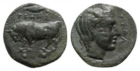 Sicily, Gela, c. 415-405 BC. Æ Tetras or Trionkion (16.5mm, 3.59g, 11h). Bull standing l.; barley grain above. R/ Head of river-god r. with floating h...