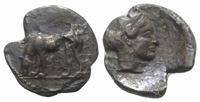 Sicily, Segesta, c. 440/35-420/16 BC. AR Didrachm (21mm, 6.30g, 9h). Hound scent...