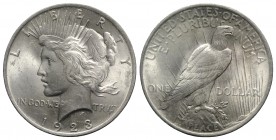 USA. AR One Dollar 1923 Liberty (38mm, 26.70g, 6h). KM 150. VF