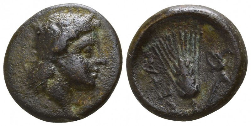 Lucania. Metapontion circa 300-250 BC.
Bronze Æ

11mm., 1,69g.

Wreathed he...