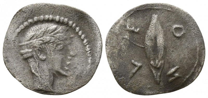 Sicily. Leontinoi circa 465-460 BC.
Litra AR

12mm., 0,43g.

Laureate head ...