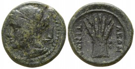 Sicily. Leontinoi circa 207-200 BC. Bronze Æ