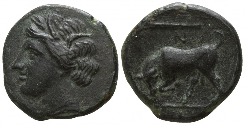 Sicily. Syracuse. Hieron II 275-215 BC.
Bronze Æ

17mm., 3,71g.

Wreathed h...
