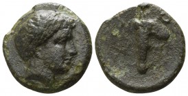 Aeolis. Tisna circa 350-300 BC. Bronze Æ
