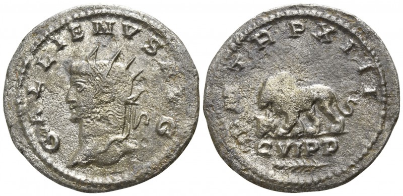 Gallienus AD 253-268. Antioch
Antoninian Æ

23mm., 3,75g.

GALLIENVS AVG; r...