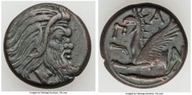 CIMMERIAN BOSPORUS. Panticapaeum. 4th century BC. AE (20mm, 7.41 gm, 12h). XF. Head of bearded Pan right / Π-A-N, forepart of griffin left, sturgeon l...