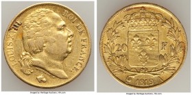 Louis XVIII gold 20 Francs 1819-A XF (Cleaned), Paris mint, KM712.1. Horse head privy mark. 21.0mm. 6.45gm. AGW 0.1867 oz. 

HID09801242017

© 202...