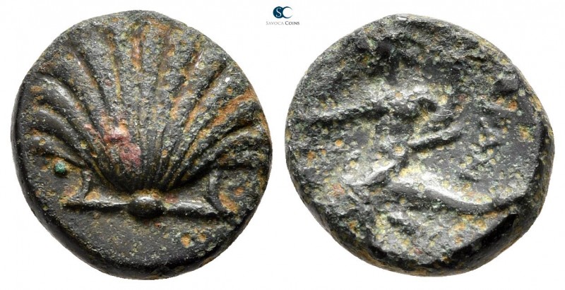 Calabria. Tarentum circa 275-200 BC. 
Bronze Æ

13 mm., 2,41 g.

Cockle she...
