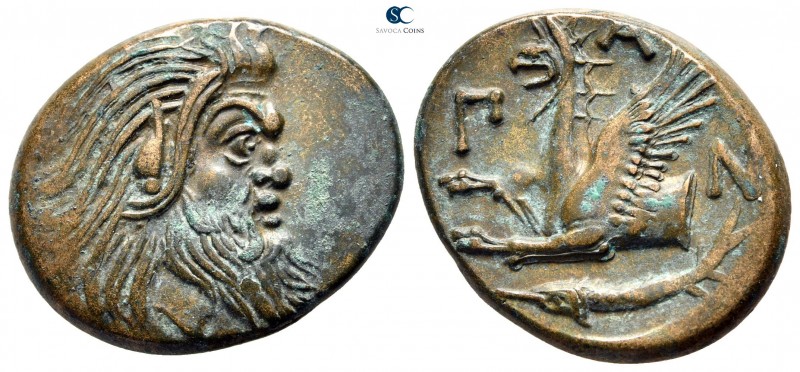 The Tauric Chersonese. Pantikapaion circa 310-304 BC. 
Bronze Æ

24 mm., 6,95...