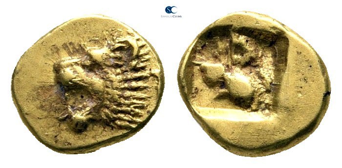 Ionia. Phokaia 560-545 BC. 
1/24 Stater EL

6 mm., 0,62 g.

Head of roaring...
