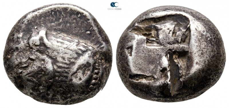 Caria. Mylasa 520-490 BC. 
Stater AR

17 mm., 11,05 g.

Forepart of roaring...