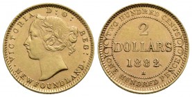 CANADA-NEWFOUNDLAND - Vittoria (1837-1901) - 2 Dollari - 1882 - AU R Kr. 5 - SPL+/qFDC