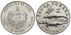 CUBA - Repubblica - 5 Pesos - 1981 - Fauna cubana coccodrillo - AG Kr. 74 5.000 pezzi coniati - FDC