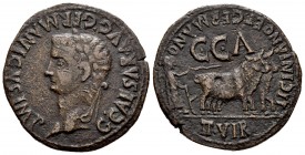 Caesar Augusta. As. 37-41 a.C. Zaragoza. (Abh-391). (Acip-3100). Anv.: Cabeza laureada de Calígula a izquierda alrededor G CAESAR AVG GARMANICVS IMP. ...