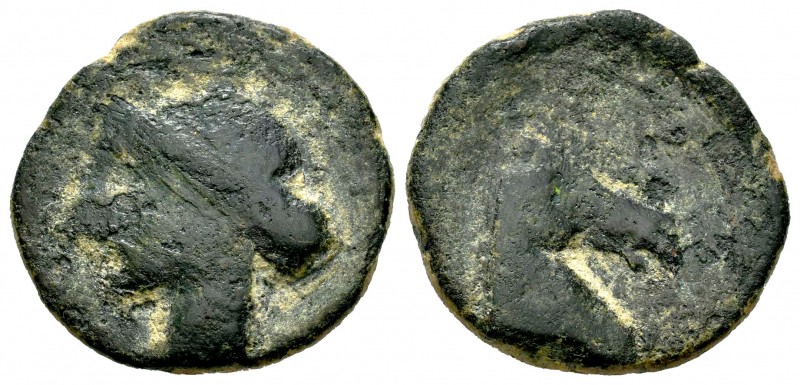 Cartagonova. As. 220-215 a.C. Cartagena (Murcia). (Abh-514). (Acip-585). Anv.: C...