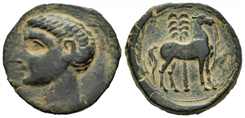 Cartagonova. Calco. 220-205 a.C. Cartagena (Murcia). (Abh-552). (Acip-609). (C-6...
