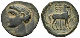 Cartagonova. Calco. 220-205 a.C. Cartagena (Murcia). (Abh-552). (Acip-609). (C-69). Au. 10,57 g. Pátina verdosa. Buen ejemplar para este tipo. EBC-. E...