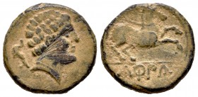 Konterbia Karbika. Semis. 120-80 a.C. Huete (Cuenca). (Abh-855). (Acip-8). Anv.: Cabeza masculina a derecha, detrás delfín. Rev.: Caballo galopando a ...