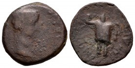 Ebusus. Semis. 37-41 d.C. Ibiza. (Abh-966). (Acip-3182). Ae. 4,25 g. Época de Calígula. BC-. Est...60,00. / Ebusus. Semis. 37-41 d.C. Ibiza. (Abh-966)...
