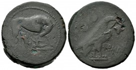 Anónimo. Sextans. 217-215 a.C. Roma. (Craw-39/3). Anv.: Loba amamantando a Rómulo y Remo. Rev.: Águila, detrás dos puntos, delante estrella y debajo R...