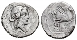 Titia. Denario. 90 a.C. Italia Central. (Ffc-1143). (Craw-314/2). (Cal-1302). Anv.: Cabeza de Baco a derecha. Rev.: Pegaso a derecha, debajo Q TITI. A...