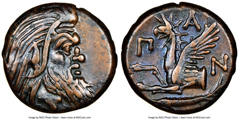 CIMMERIAN BOSPORUS. Panticapaeum. 4th century BC. AE (21mm, 11h). NGC Choice VF....