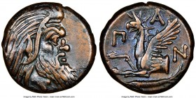 CIMMERIAN BOSPORUS. Panticapaeum. 4th century BC. AE (21mm, 11h). NGC Choice VF. Head of bearded Pan right / Π-A-N, forepart of griffin left, sturgeon...