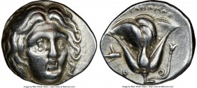 CARIAN ISLANDS. Rhodes. Ca. 275-250 BC. AR didrachm (19mm, 12h). NGC Choice VF. Aristonomos, magistrate. Head of Helios facing, turned slightly right,...