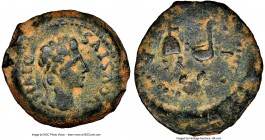 SPAIN. Terraconensis. Acci. Augustus (27 BC-AD 14). AE semis (25mm, 2h). NGC Choice Fine. DIVI•F-AVGVSTVS, laureate head of Augustus right / A-CC-I•C•...
