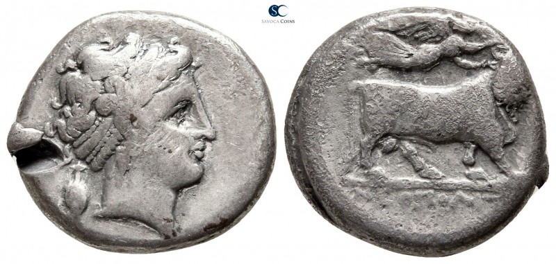 Campania. Neapolis circa 300-275 BC. 
Nomos AR

20 mm., 7,05 g.



nearly...