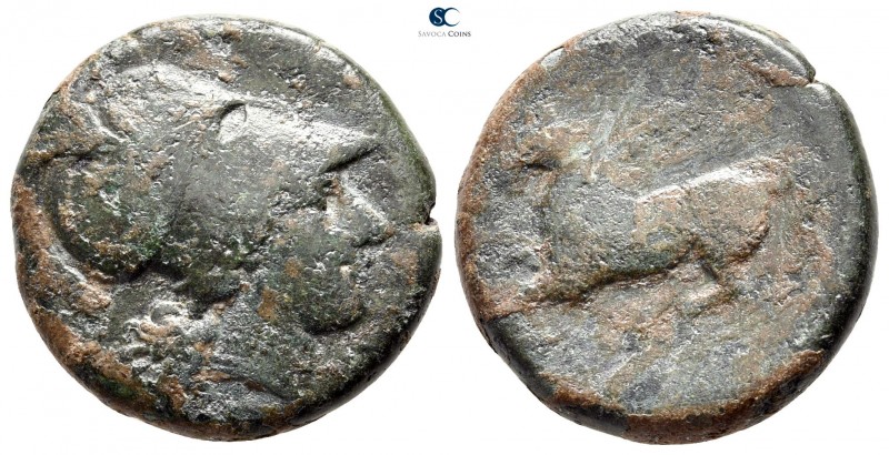 Sicily. Syracuse. Agathokles 317-289 BC. 
Bronze Æ

21 mm., 9,36 g.



ne...