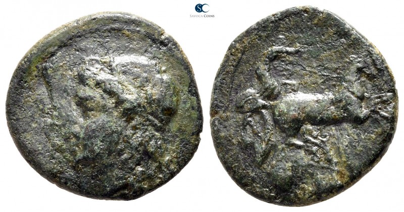 Sicily. Syracuse. Hiketas II 287-278 BC. 
Bronze Æ

18 mm., 4,00 g.



ne...