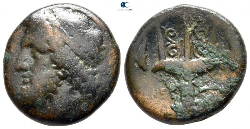 Sicily. Syracuse. Hieron II 275-215 BC. 
Litra Æ

22 mm., 8,56 g.



near...