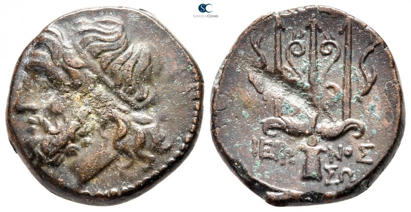 Sicily. Syracuse. Hieron II 275-215 BC. 
Litra Æ

18 mm., 6,23 g.



very...