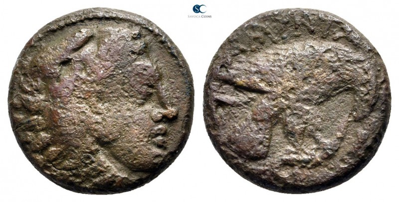 Kings of Macedon. Pella or Amphipolis. Amyntas III 393-369 BC. 
Bronze Æ

15 ...