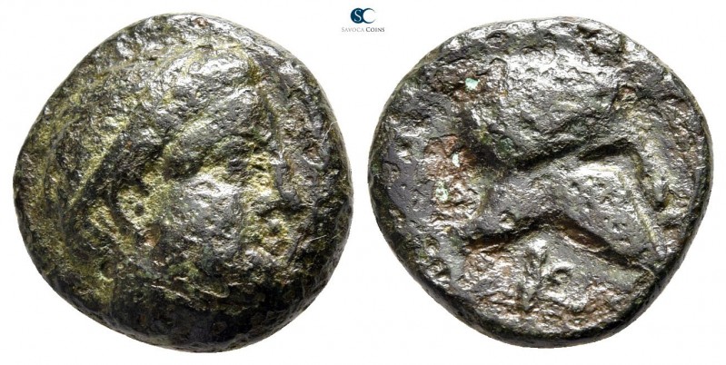 Macedon. Skione circa 400-350 BC. 
Bronze Æ

16 mm., 5,27 g.



nearly ve...