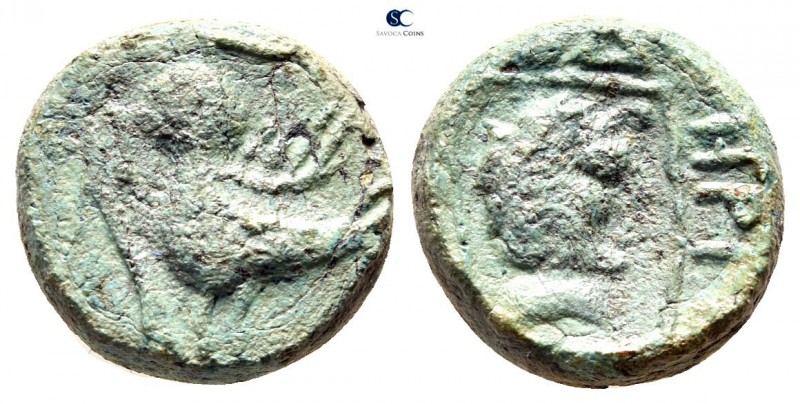 Thrace. Abdera 250-200 BC. 
Bronze Æ

13 mm., 4,68 g.



very fine