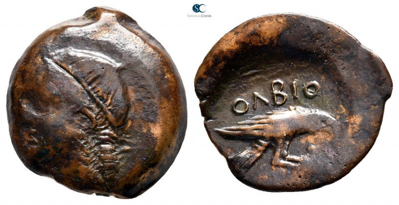 Scythia. Olbia circa 380-360 BC. 
Bronze Æ

19 mm., 4,29 g.



nearly ver...