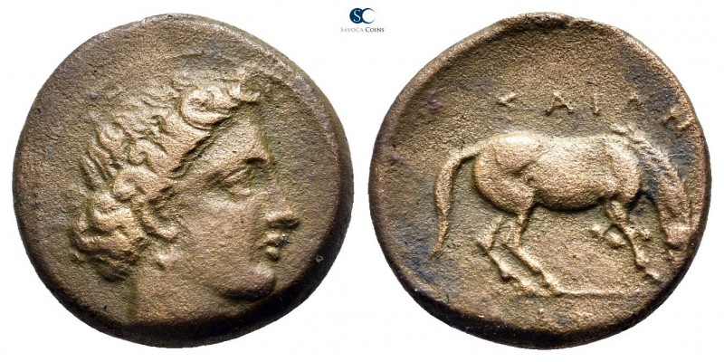 Thessaly. Larissa 380-337 BC. 
Dichalkon Æ

16 mm., 3,78 g.



very fine