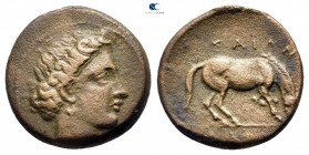 Thessaly. Larissa 380-337 BC. Dichalkon Æ