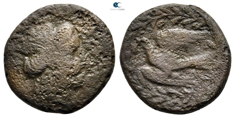 Epeiros. Kassopa 342-330 BC. 
Bronze Æ

19 mm., 5,39 g.



nearly very fi...