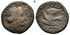 Epeiros. Kassopa 342-330 BC. Bronze Æ