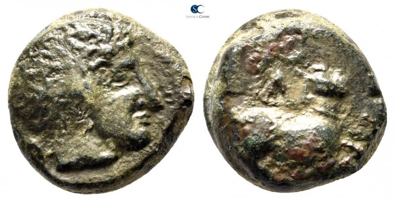 Akarnania. Palairos 400-300 BC. 
Drachm Æ

13 mm., 3,64 g.



very fine
